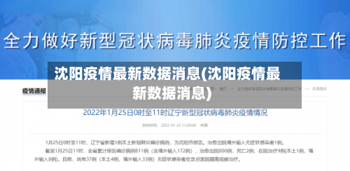 沈阳疫情最新数据消息(沈阳疫情最新数据消息)-第2张图片