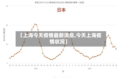 【上海今天疫情最新消息,今天上海疫情状况】-第3张图片
