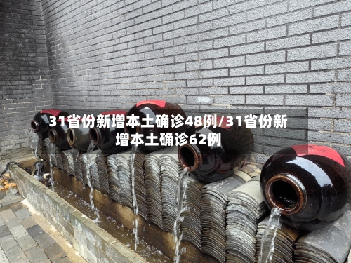 31省份新增本土确诊48例/31省份新增本土确诊62例-第2张图片