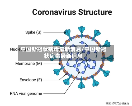中国新冠状病毒最新消息/中国新冠状病毒最新信息