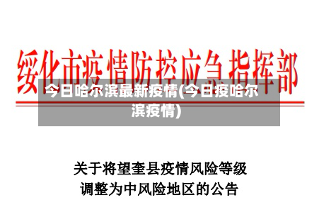 今日哈尔滨最新疫情(今日疫哈尔滨疫情)