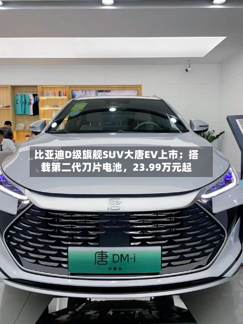 比亚迪D级旗舰SUV大唐EV上市：搭载第二代刀片电池，23.99万元起