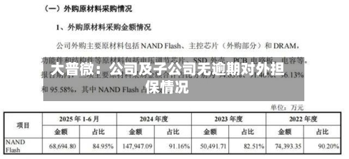 大普微：公司及子公司无逾期对外担保情况