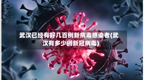 武汉已经有好几百例新病毒感染者(武汉有多少例新冠病毒)-第2张图片