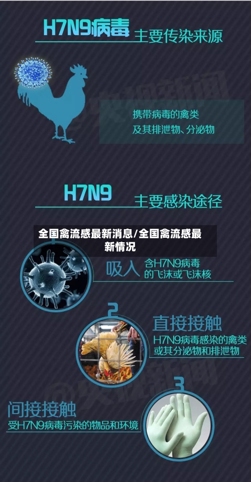 全国禽流感最新消息/全国禽流感最新情况-第2张图片