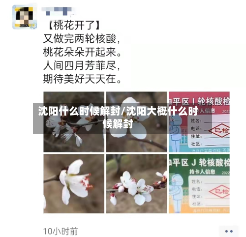 沈阳什么时候解封/沈阳大概什么时候解封