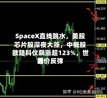 SpaceX直线跳水，美股芯片股深夜大涨，中概股欧陆科仪飙涨超123%，世界油价反弹
