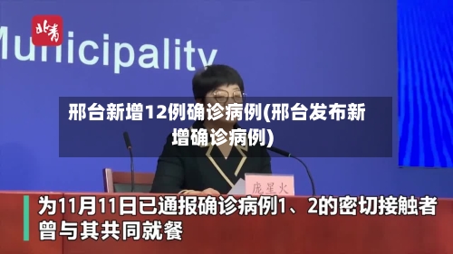 邢台新增12例确诊病例(邢台发布新增确诊病例)-第3张图片