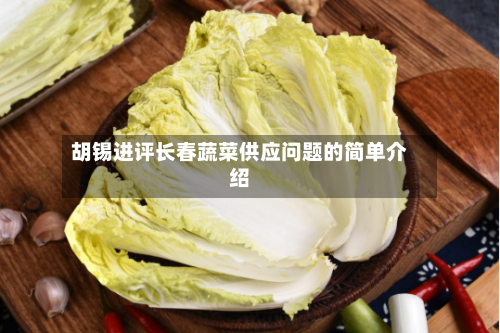胡锡进评长春蔬菜供应问题的简单介绍