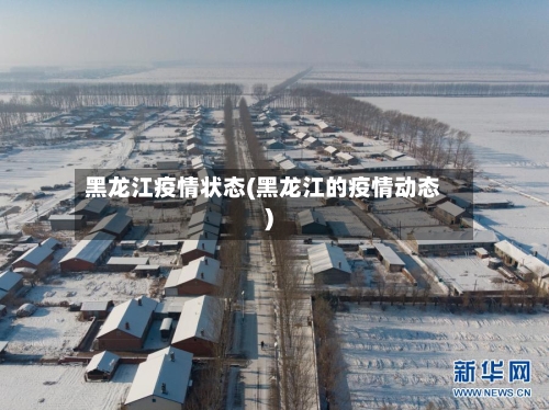 黑龙江疫情状态(黑龙江的疫情动态)