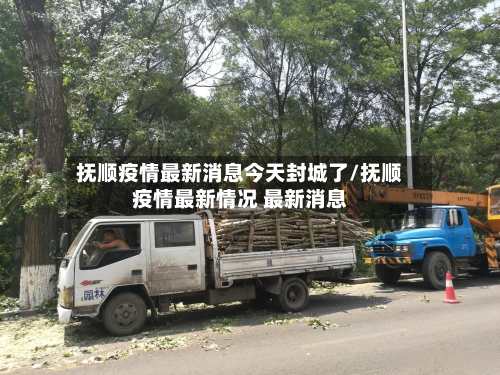 抚顺疫情最新消息今天封城了/抚顺疫情最新情况 最新消息-第2张图片