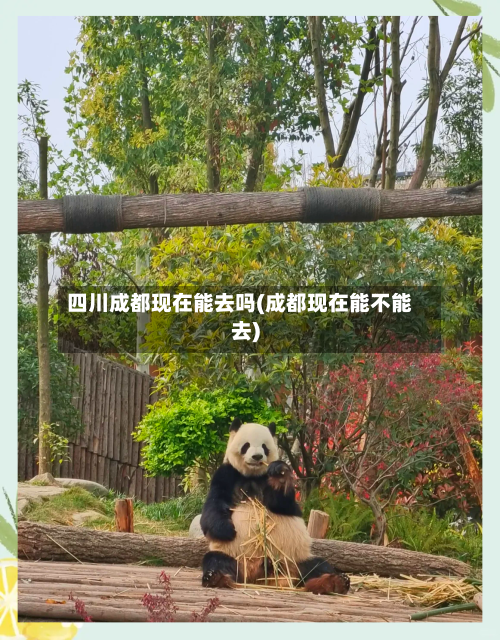 四川成都现在能去吗(成都现在能不能去)-第2张图片