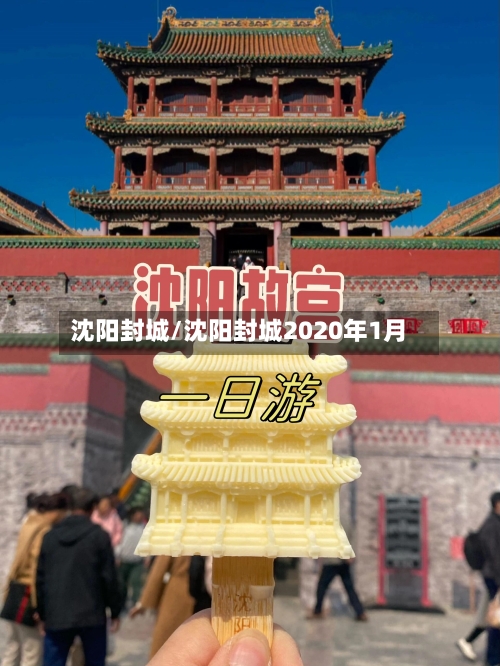 沈阳封城/沈阳封城2020年1月