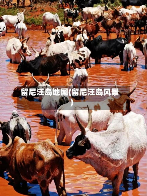 留尼汪岛地图(留尼汪岛风景)-第2张图片