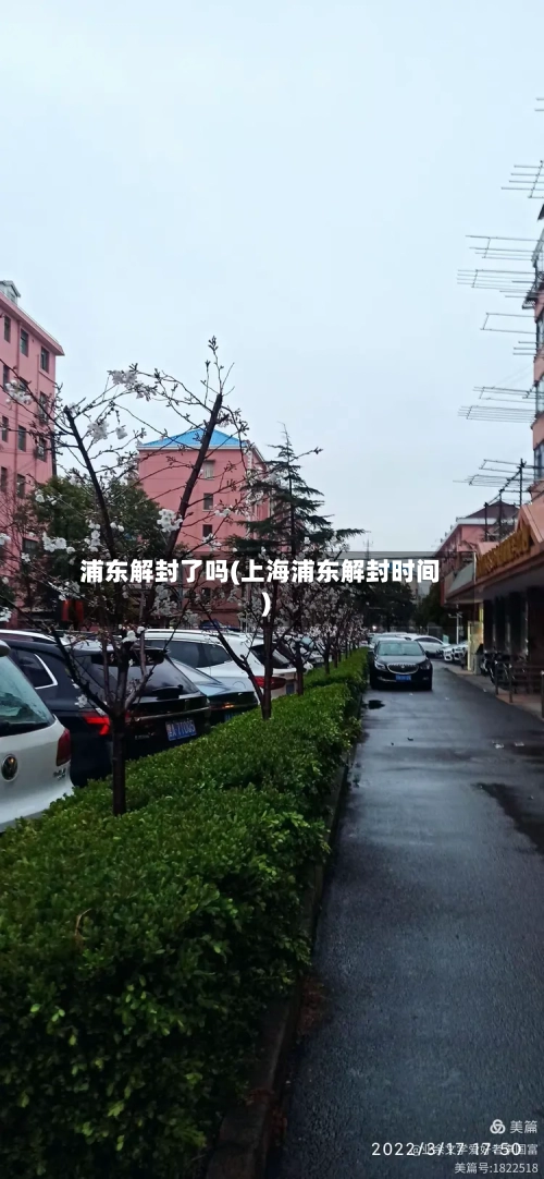 浦东解封了吗(上海浦东解封时间)