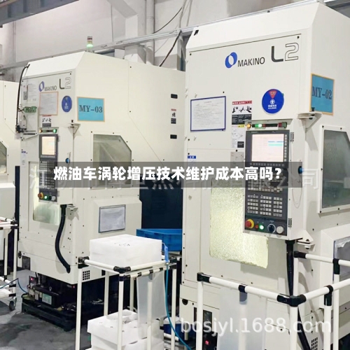 燃油车涡轮增压技术维护成本高吗?-第2张图片