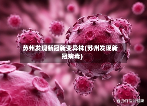 苏州发现新冠新变异株(苏州发现新冠病毒)
