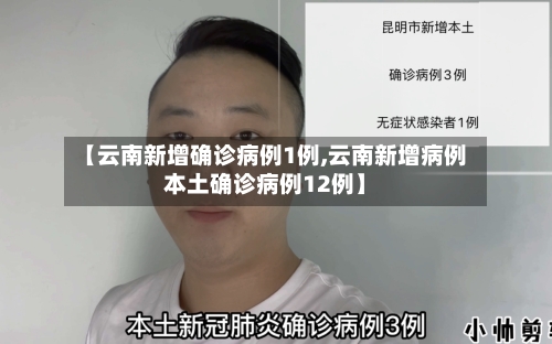【云南新增确诊病例1例,云南新增病例本土确诊病例12例】-第3张图片