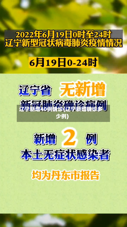 辽宁新增40例确诊(辽宁新增确诊多少例)