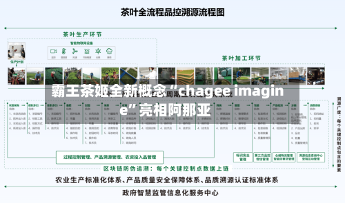 霸王茶姬全新概念“chagee imagine	”亮相阿那亚-第3张图片