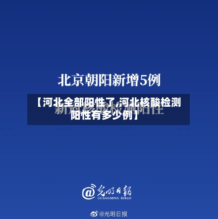 【河北全部阳性了,河北核酸检测阳性有多少例】-第2张图片