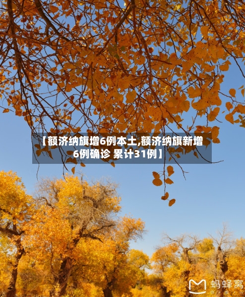 【额济纳旗增6例本土,额济纳旗新增6例确诊 累计31例】