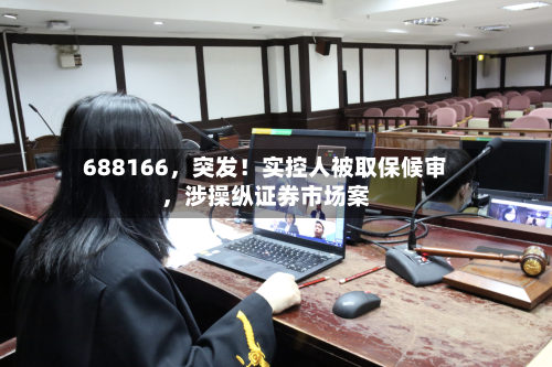 688166，突发！实控人被取保候审，涉操纵证券市场案-第2张图片