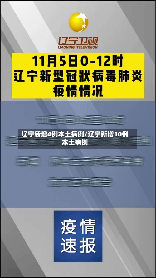 辽宁新增4例本土病例/辽宁新增10例本土病例-第3张图片