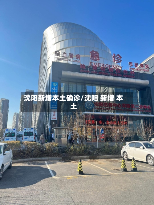 沈阳新增本土确诊/沈阳 新增 本土