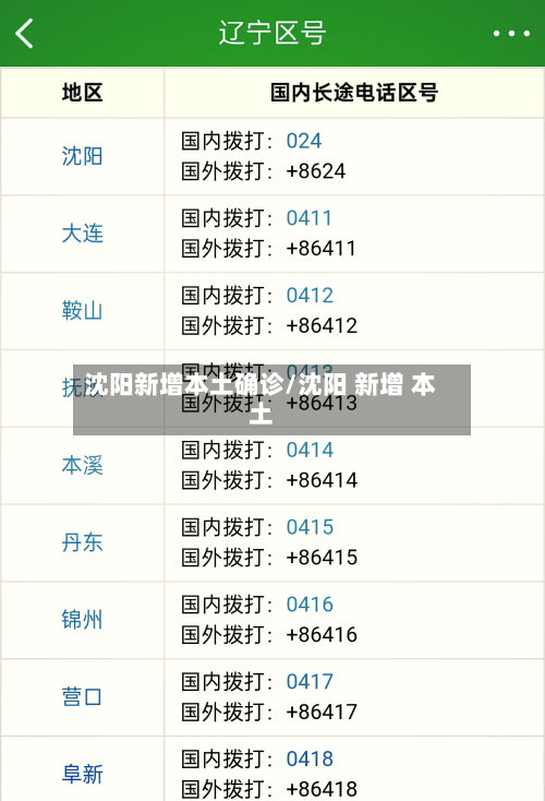沈阳新增本土确诊/沈阳 新增 本土-第3张图片