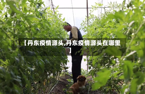 【丹东疫情源头,丹东疫情源头在哪里】