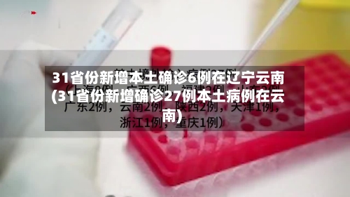 31省份新增本土确诊6例在辽宁云南(31省份新增确诊27例本土病例在云南)-第3张图片