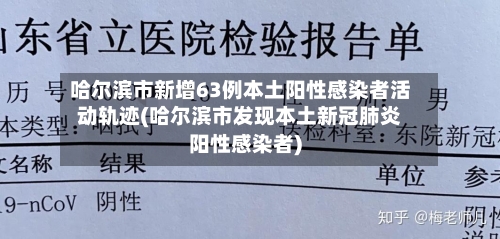 哈尔滨市新增63例本土阳性感染者活动轨迹(哈尔滨市发现本土新冠肺炎阳性感染者)