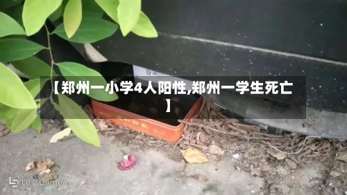 【郑州一小学4人阳性,郑州一学生死亡】