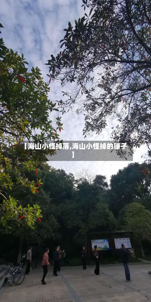 【海山小怪掉落,海山小怪掉的锤子】