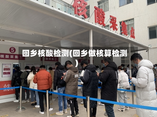 回乡核酸检测(回乡做核算检测)