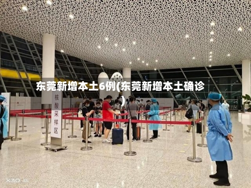 东莞新增本土6例(东莞新增本土确诊)