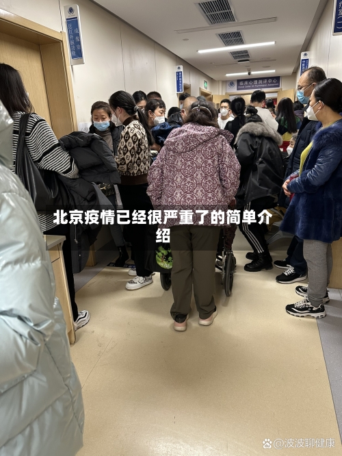 北京疫情已经很严重了的简单介绍