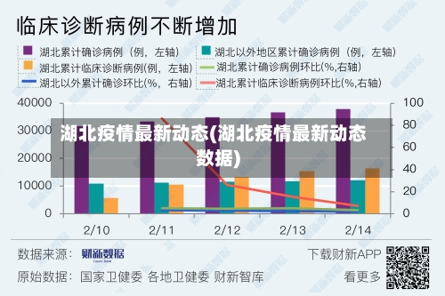 湖北疫情最新动态(湖北疫情最新动态数据)-第3张图片