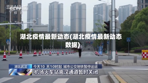 湖北疫情最新动态(湖北疫情最新动态数据)-第2张图片