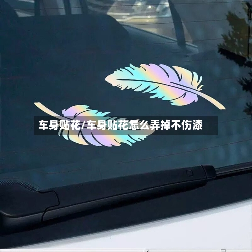 车身贴花/车身贴花怎么弄掉不伤漆