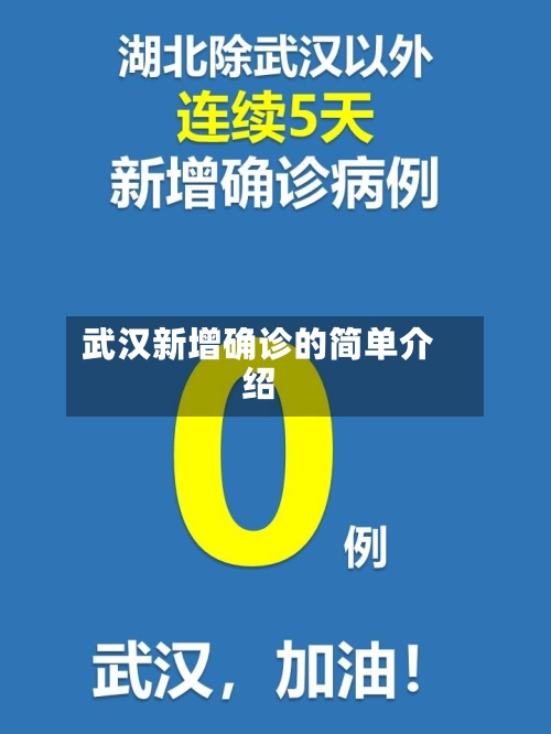 武汉新增确诊的简单介绍