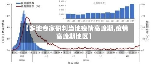 【多地专家研判当地疫情高峰期,疫情高峰期地区】-第2张图片