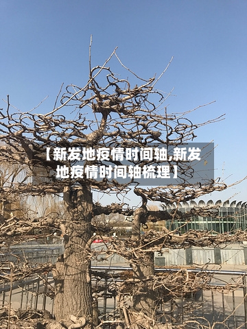 【新发地疫情时间轴,新发地疫情时间轴梳理】-第2张图片