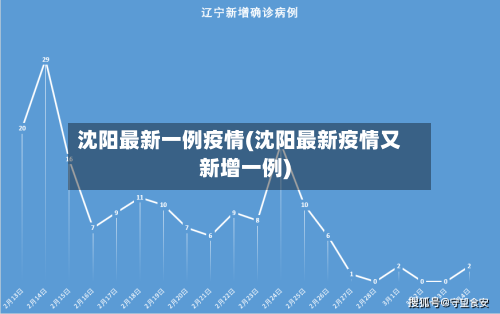 沈阳最新一例疫情(沈阳最新疫情又新增一例)-第2张图片