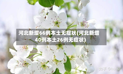 河北新增66例本土无症状(河北新增40例本土26例无症状)