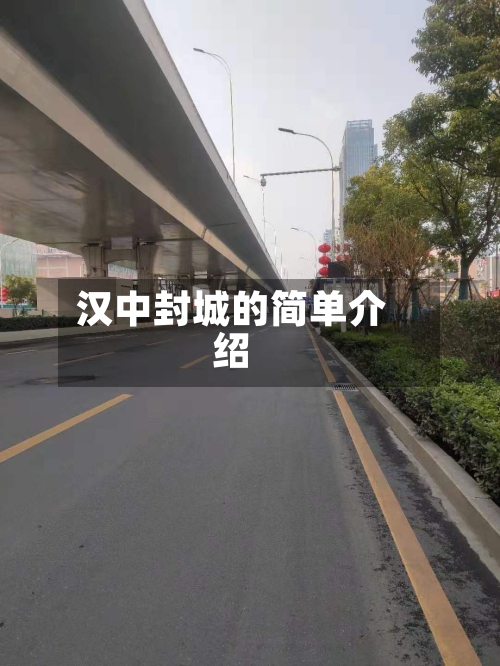 汉中封城的简单介绍