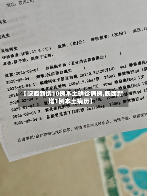 【陕西新增10例本土确诊病例,陕西新增1例本土病历】-第2张图片