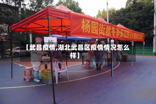 【武昌疫情,湖北武昌区疫情情况怎么样】