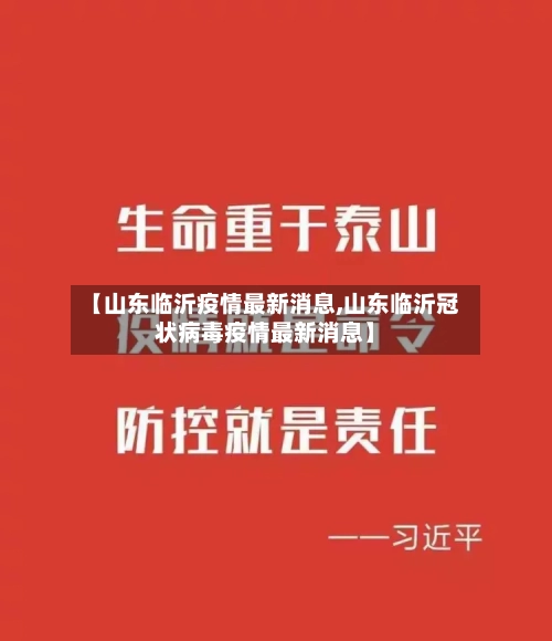 【山东临沂疫情最新消息,山东临沂冠状病毒疫情最新消息】-第2张图片